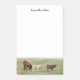 ハイランドカウポストイットノート ポストイット