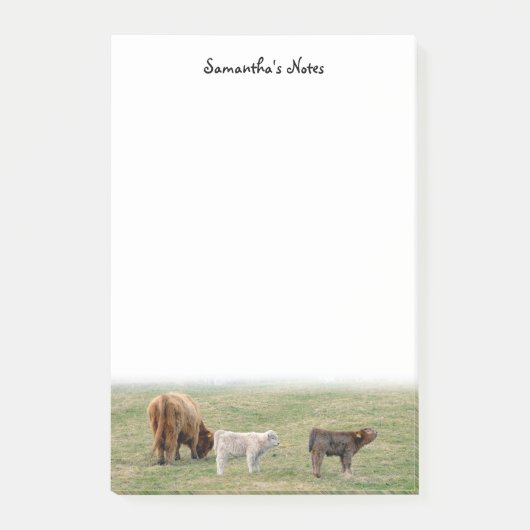 ハイランドカウポストイットノート ポストイット (正面)