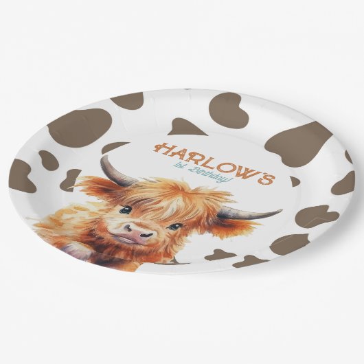 ハイランドカウミーファーストロデオ誕生日パーティー ペーパープレート (アングル)