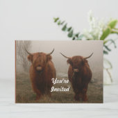 ハイランドキャトルフォグフォト誕生日 招待状 (スタンド正面)