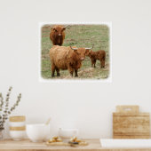 ハイランドキャトル9Y316D-017 ポスター (キッチン)