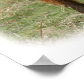 ハイランドキャトル9Y316D-017 ポスター (角)