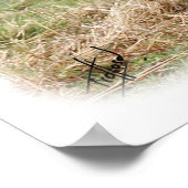 ハイランドキャトル9Y316D-055 ポスター (角)