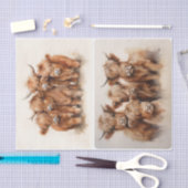 ハイランドギャザリング 薄葉紙 (クラフト)