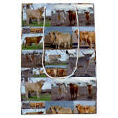 ハイランドグローリー：牛の写真威厳のあるコラージュ ミディアムペーパーバッグ (裏面)