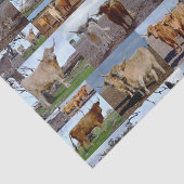ハイランドグローリー：牛の写真威厳のあるコラージュ 薄葉紙 (詳細)