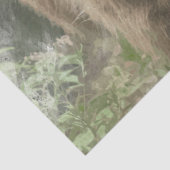 ハイランドコティシュデクページ紙 薄葉紙 (詳細)