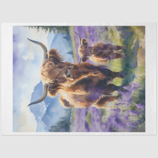 ハイランドティッシュペーパー 薄葉紙 (正面)