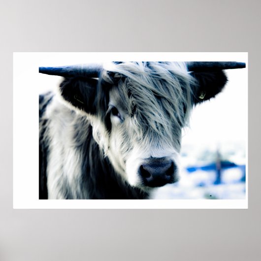 ハイランドブルー ポスター (正面)