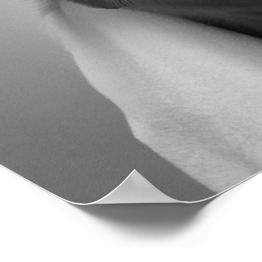 ハイランド牛おもしろい顔顔マスクバスルーム ポスター (角)