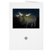 ハイランド牛とグロー、誕生日カード (裏面)