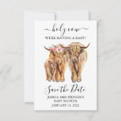 ハイランド牛のカップルがデートを救う セーブザデート (正面)