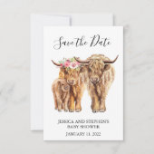 ハイランド牛のカップルがデートを救う セーブザデート (正面)