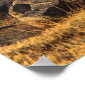 ハイランド牛のポスター/プリント ポスター (角)