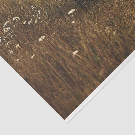 ハイランド牛のヴィンテージセピアデクページ 薄葉紙 (詳細)