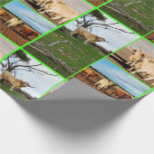 ハイランド牛の三写真コラージュ ラッピングペーパー (角)