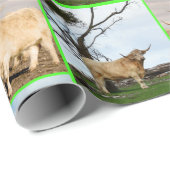 ハイランド牛の三写真コラージュ ラッピングペーパー (ロールコーナー)