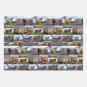 ハイランド牛の写真コラージュ、ギフトラップシート、 ラッピングペーパーシート (正面2)