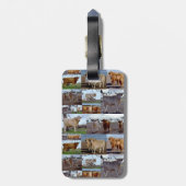 ハイランド牛の写真コラージュ、荷札 ラゲッジタグ (裏面縦)