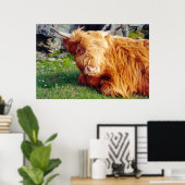 ハイランド牛の写真 ポスター (ホームオフィス)