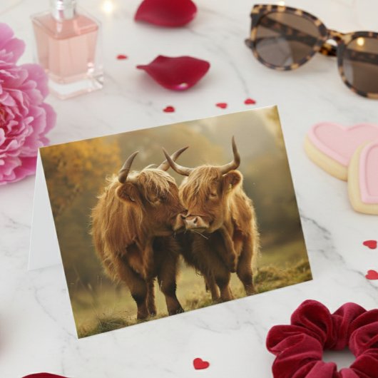 ハイランド牛の恋愛 ポストカード