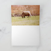 ハイランド牛の放牧 カード (内部)
