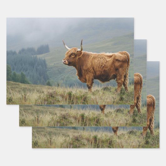 ハイランド牛の霧の朝のデコページ ラッピングペーパーシート (セット)