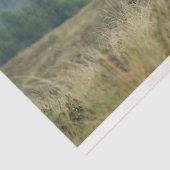 ハイランド牛の霧の朝のデコページ 薄葉紙 (詳細)