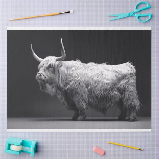 ハイランド牛の黒と白のデコパージュ 薄葉紙 (クラフト)