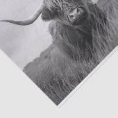 ハイランド牛の黒と白のデコパージュ 薄葉紙 (詳細)