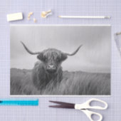 ハイランド牛の黒と白のデコパージュ 薄葉紙 (クラフト)