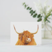 ハイランド牛はがき ポストカード (スタンド正面)