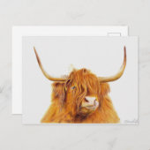 ハイランド牛はがき ポストカード (正面/裏面)