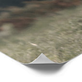 ハイランド牛ふくらはぎ秋の草モノグラムイニシャル ポスター (角)