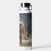 ハイランド牛ふくらはぎ秋の草原 ウォーターボトル (背面)