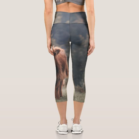 ハイランド牛ふくらはぎ秋の草原 カプリレギンス (裏面)