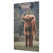 ハイランド牛ふくらはぎ秋の草原 クリップボード (左)