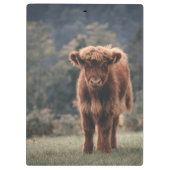 ハイランド牛ふくらはぎ秋の草原 クリップボード (裏面)