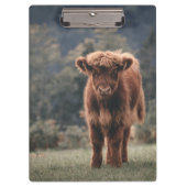 ハイランド牛ふくらはぎ秋の草原 クリップボード (正面)