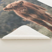 ハイランド牛ふくらはぎ秋の草原 シェルパブランケット (3/4)