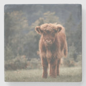 ハイランド牛ふくらはぎ秋の草原 ストーンコースター (正面)