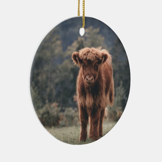 ハイランド牛ふくらはぎ秋の草原 セラミックオーナメント (右)