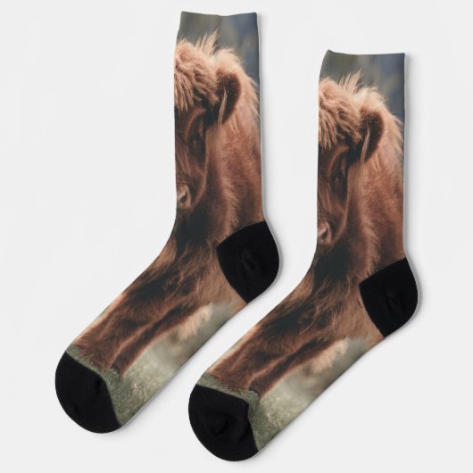 ハイランド牛ふくらはぎ秋の草原 ソックス (左)