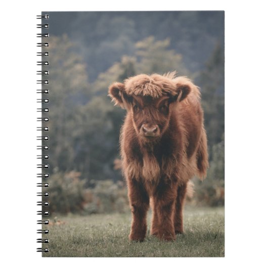 ハイランド牛ふくらはぎ秋の草原 ノートブック (正面)