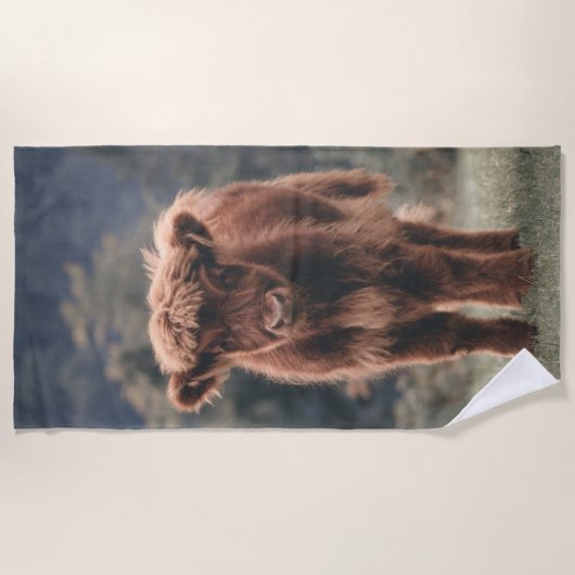 ハイランド牛ふくらはぎ秋の草原 ビーチタオル (正面)