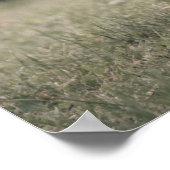 ハイランド牛ふくらはぎ秋の草原 ポスター (角)