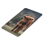 ハイランド牛ふくらはぎ秋の草原 マグネット (左側)