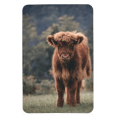 ハイランド牛ふくらはぎ秋の草原 マグネット (縦)