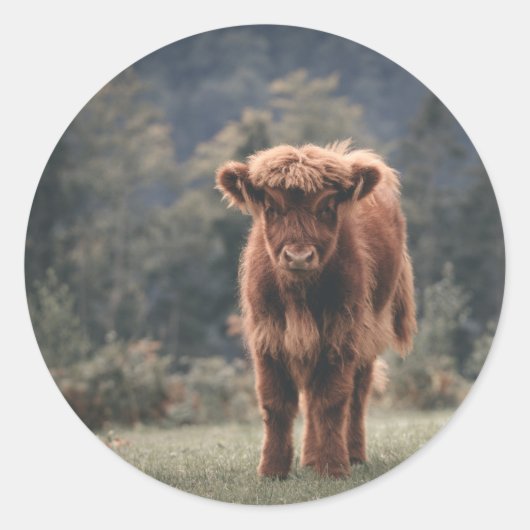 ハイランド牛ふくらはぎ秋の草原 ラウンドシール (正面)