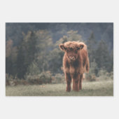 ハイランド牛ふくらはぎ秋の草原 ラッピングペーパーシート (正面3)